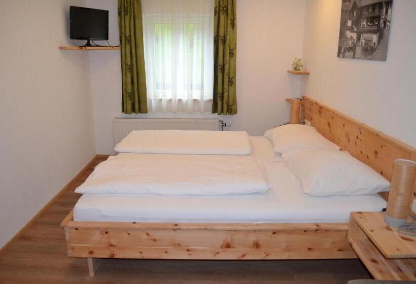 חדר סטנדרט, Gasthof Pension Schweiger Jagawirt