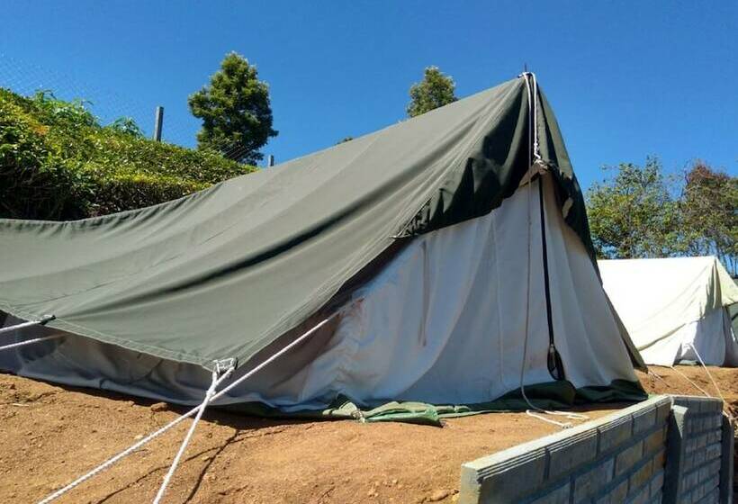 Standard Tent, Janardan Tea Resort   Campsite