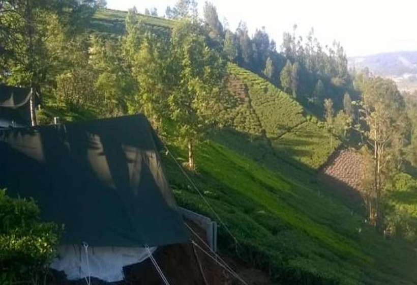 كوخ قياسي, Janardan Tea Resort   Campsite