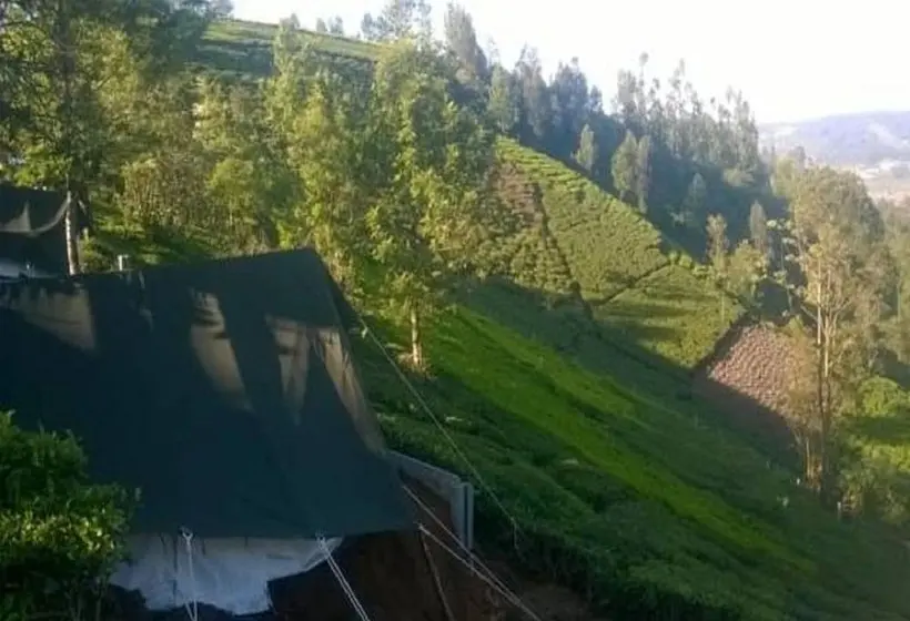 Standard Tent, Janardan Tea Resort   Campsite