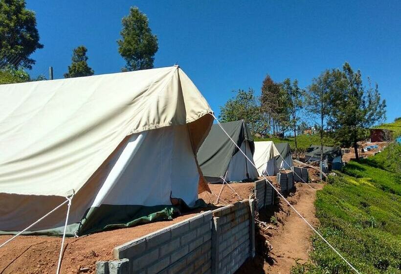 كوخ قياسي, Janardan Tea Resort   Campsite