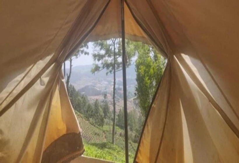 Standard Tent, Janardan Tea Resort   Campsite