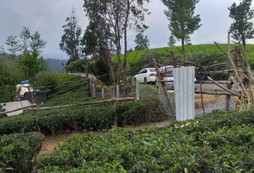 Standard Tent, Janardan Tea Resort   Campsite