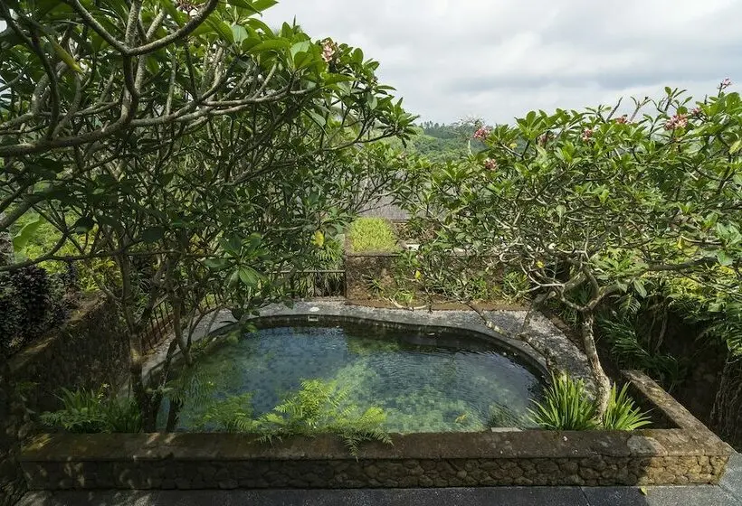 デラックスビラの１ベッドルーム, Awan Biru Villas
