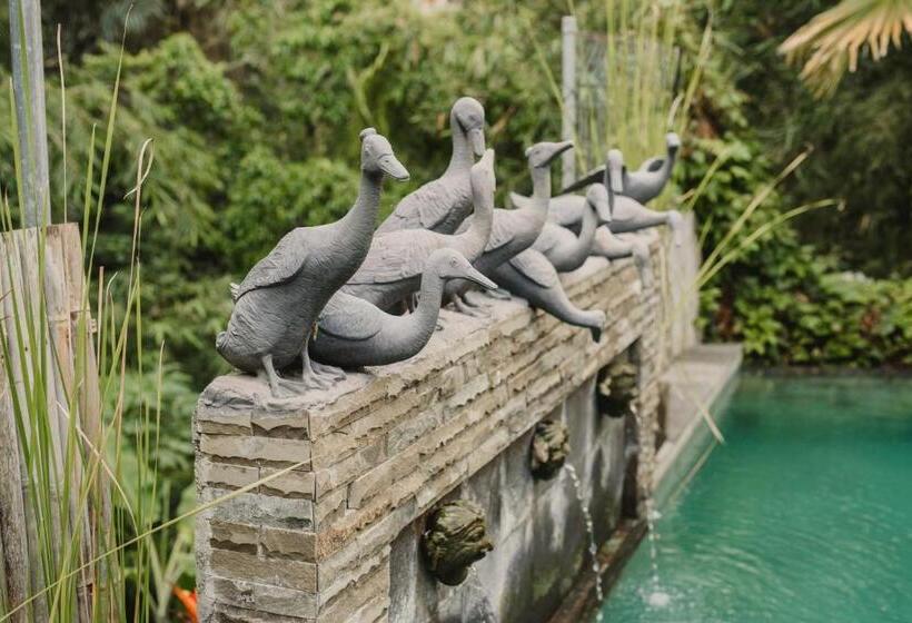 חדר סופריור, Desak Putu Putra Hidden