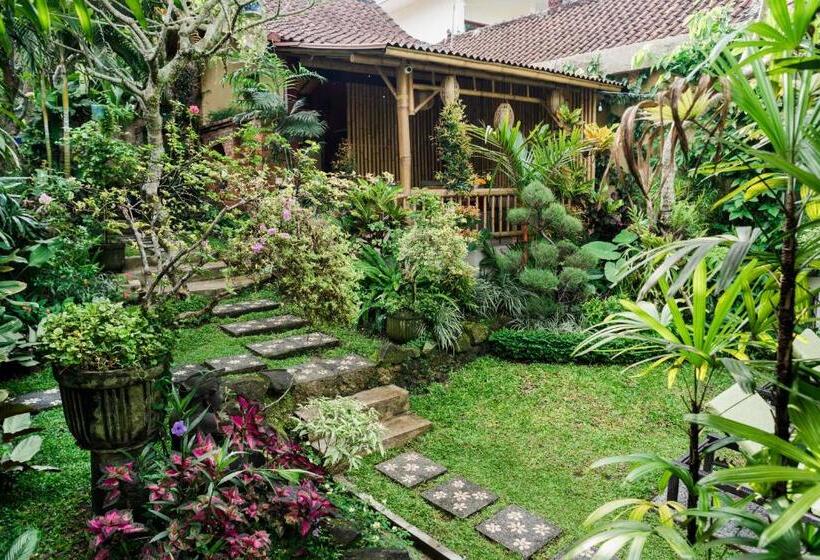 חדר דלוקס, Desak Putu Putra Hidden