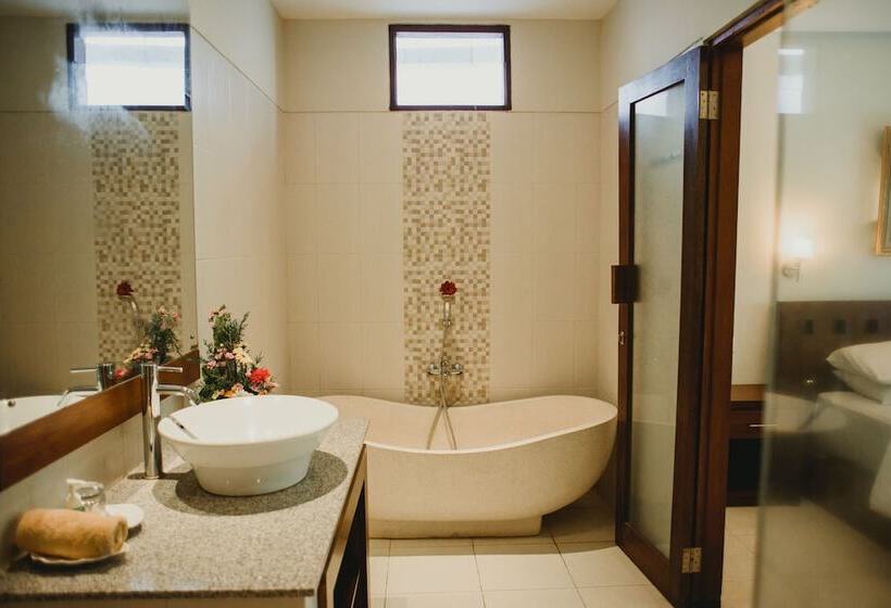 חדר סופריור, Desak Putu Putra Hidden