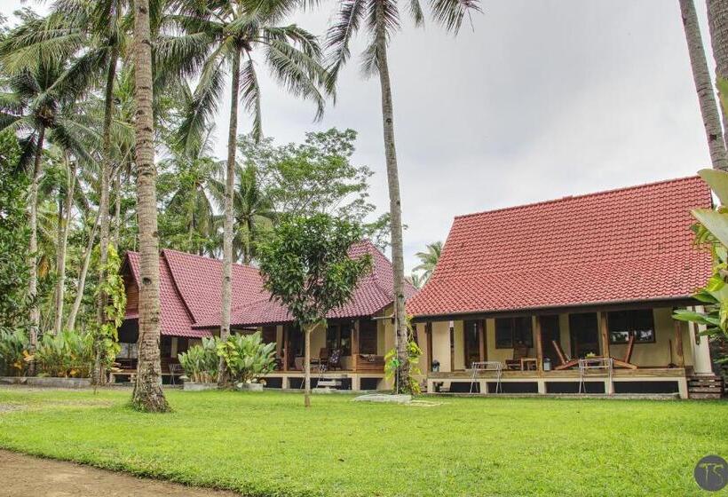 스탠다드 룸, Sadati Home Stay