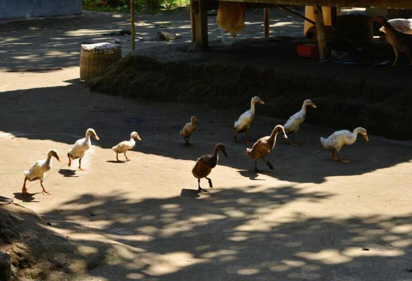 スーペリアールーム, Cocotinos Sekotong Lombok