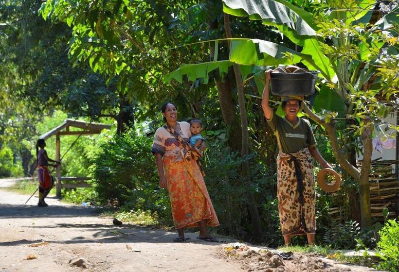 スーペリアールーム, Cocotinos Sekotong Lombok