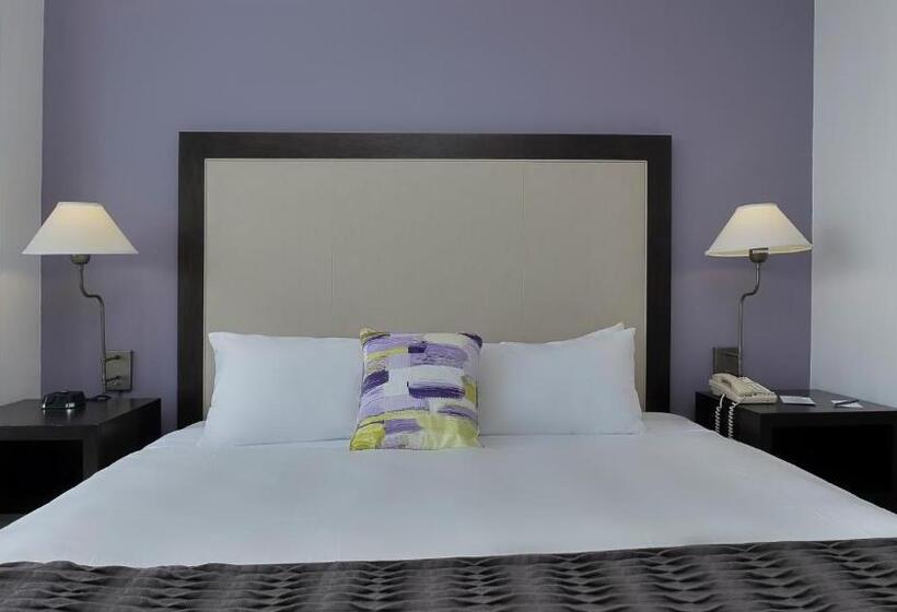 غرفة قياسية سرير مزدوج مطلة على المدينة, Arya Bw Premier Collection