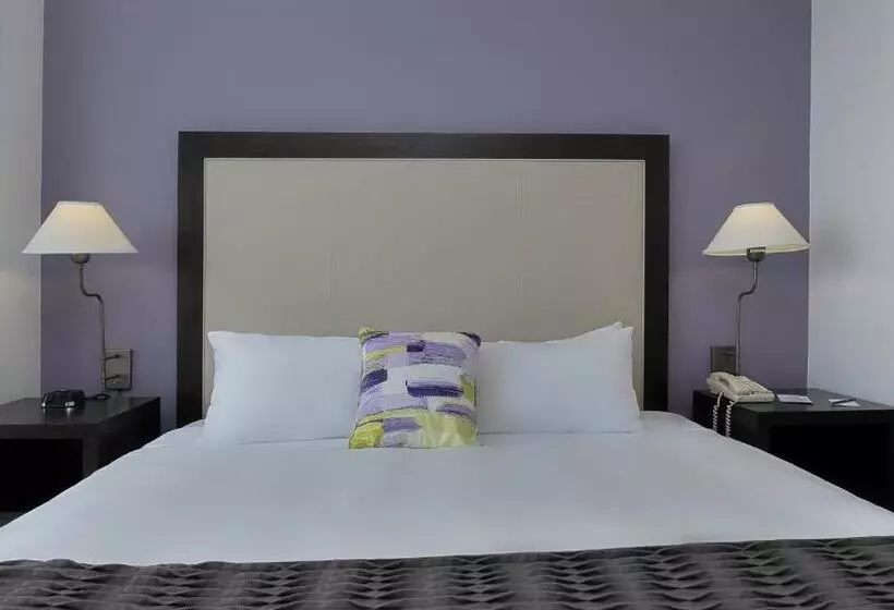 Standard Room Double Bed City View, Arya Bw Premier Collection