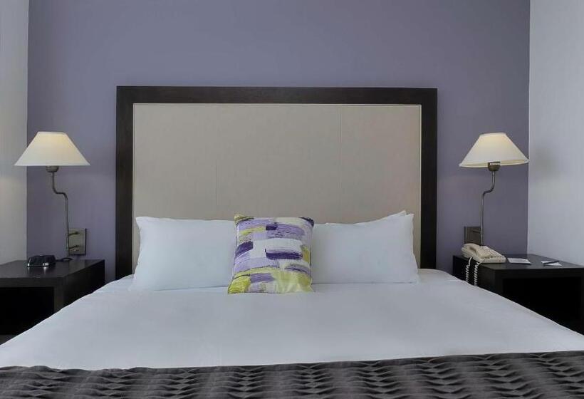 غرفة قياسية سرير مزدوج مطلة على المدينة, Arya Bw Premier Collection