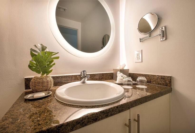 غرفة قياسية سرير مزدوج مطلة على المدينة, Arya Bw Premier Collection