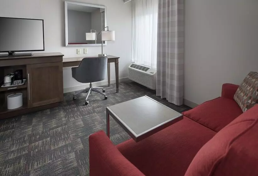 اتاق استاندارد با 2 تخت دوبل, Hampton Inn Bostonlogan Airport
