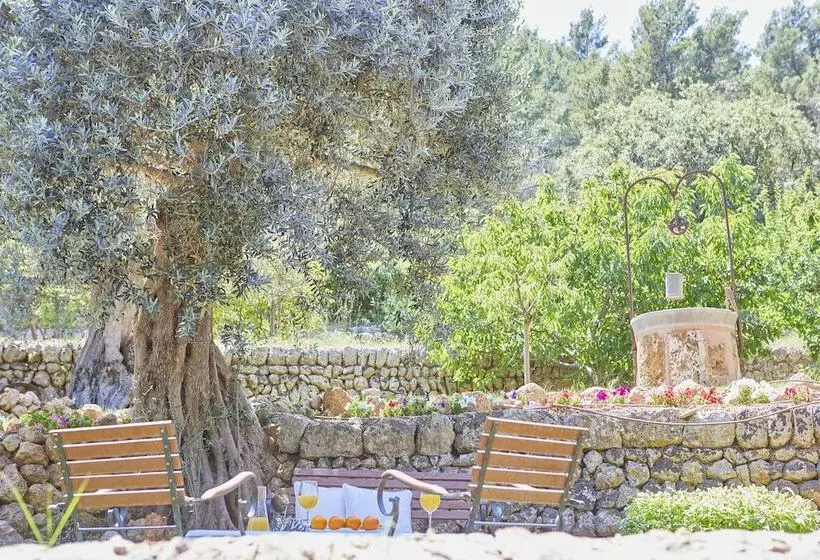 اتاق استاندارد با تراس, Rural S Olivaret & Spa