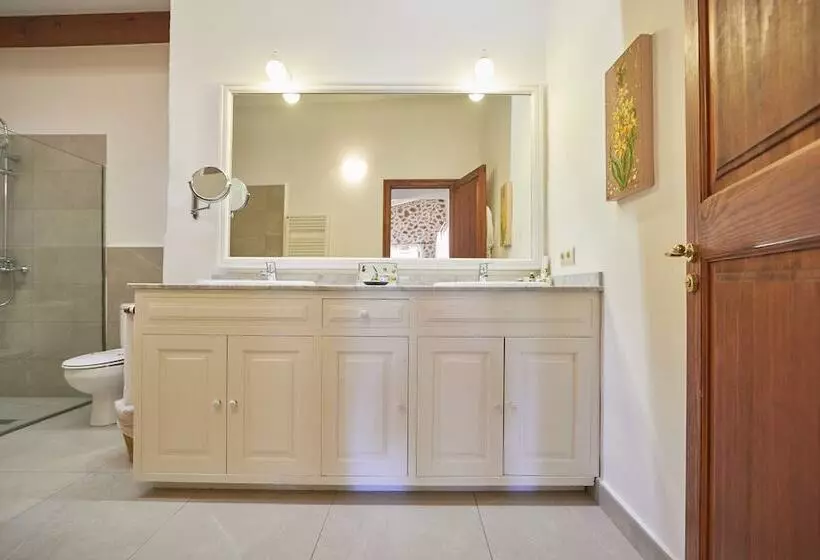 اتاق استاندارد با تراس, Rural S Olivaret & Spa