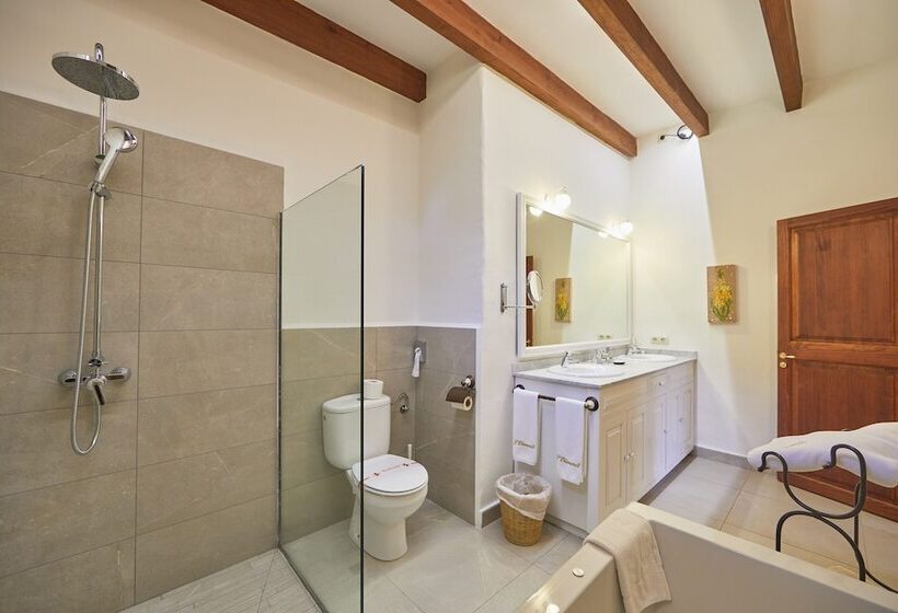 テラス付きスタンダードルーム, Rural S Olivaret & Spa