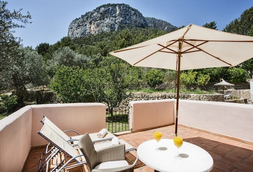 テラス付きスタンダードルーム, Rural S Olivaret & Spa