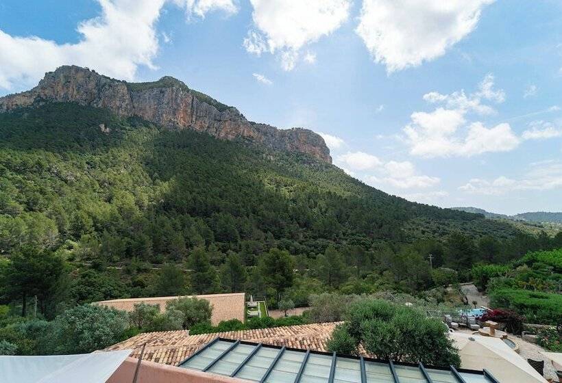 スーペリアールーム, Rural S Olivaret & Spa