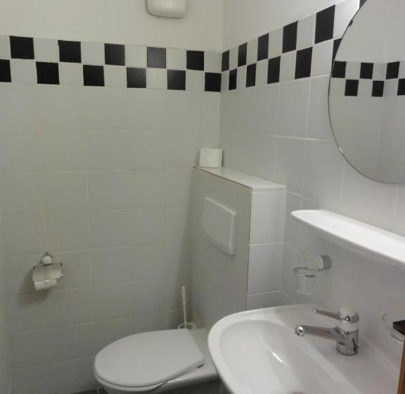 标准间, Steinbock Grindelwald