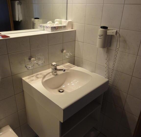 标准间, Steinbock Grindelwald