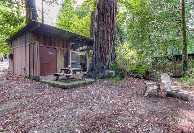 קוטג' דלוקס, Redwoods River Resort