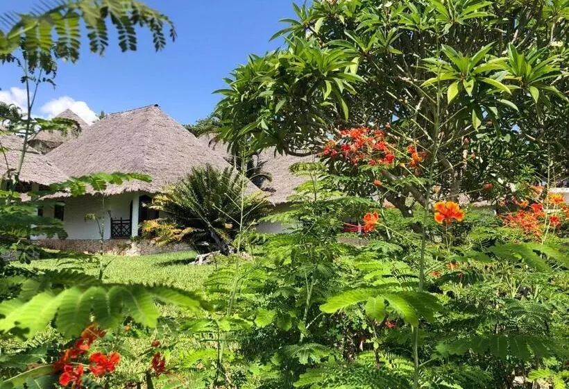 اتاق سوپریور, Bluebay Beach Resort & Spa