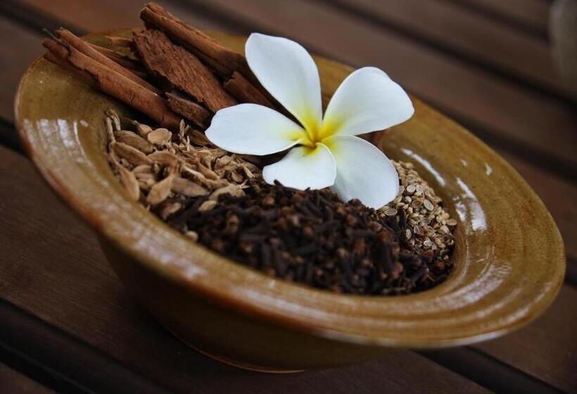 高级大房间, Bluebay Beach Resort & Spa