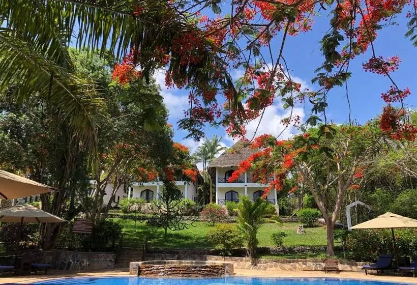 چشم‌انداز استخر اتاق کلوب, Bluebay Beach Resort & Spa