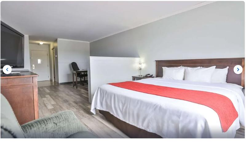 商务房间, Comfort Inn And Suites St Jerome