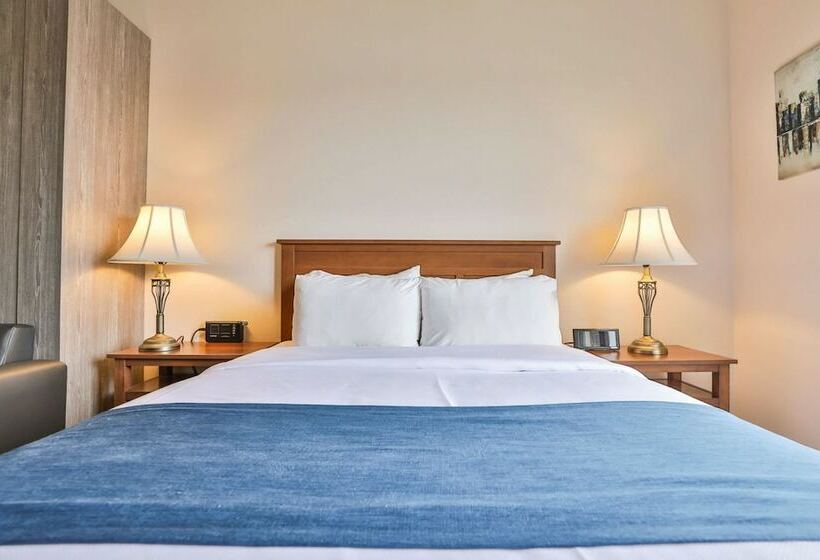 商务房间, Comfort Inn And Suites St Jerome