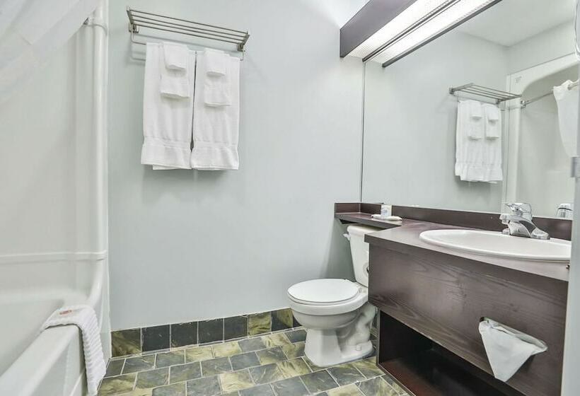 Номер бизнес-класса, Comfort Inn And Suites St Jerome