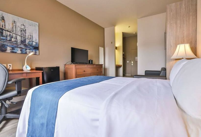 商务房间, Comfort Inn And Suites St Jerome