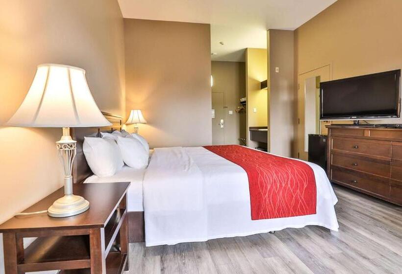 带大床的标准间, Comfort Inn And Suites St Jerome