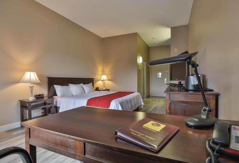 带大床的标准间, Comfort Inn And Suites St Jerome