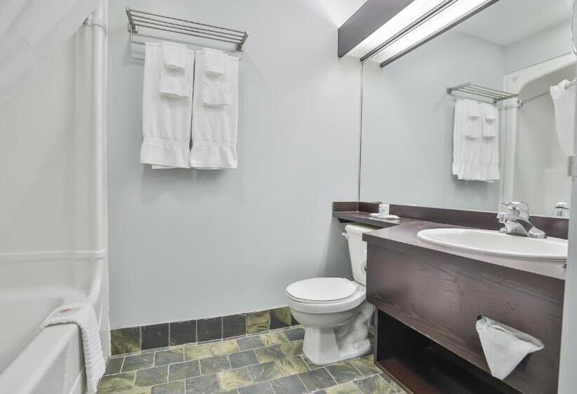 标准间, Comfort Inn And Suites St Jerome