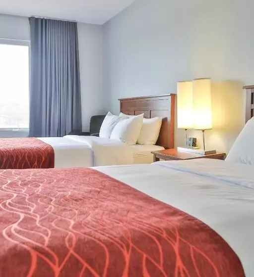 اتاق استاندارد, Comfort Inn And Suites St Jerome