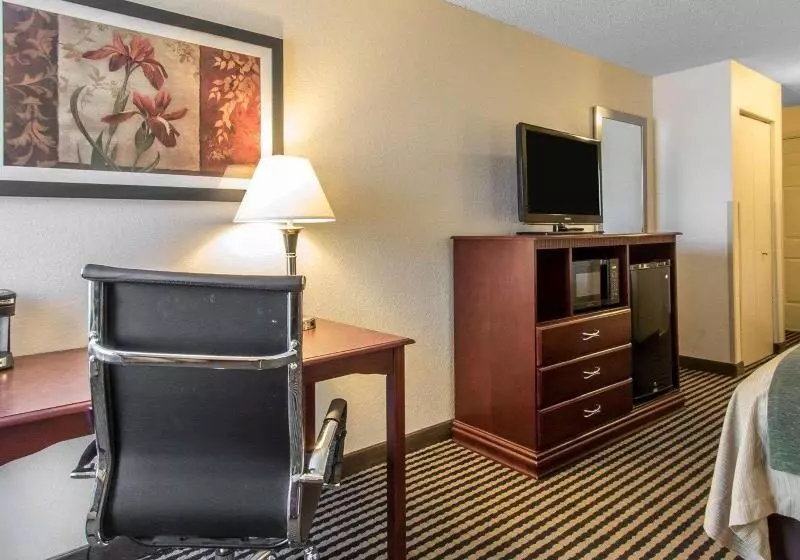 اتاق استاندارد با تخت بزرگ, Comfort Inn Birmingham  Irondale