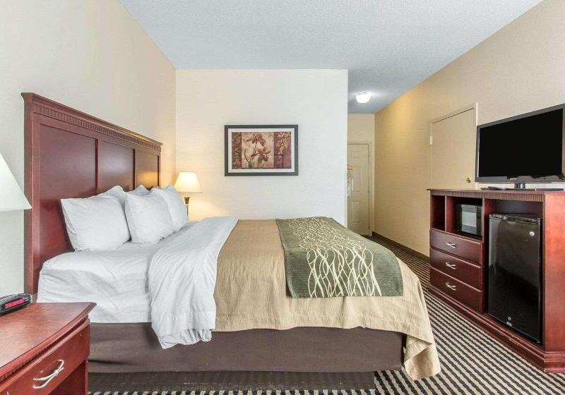 스탠다드 룸 킹사이즈 침대, Comfort Inn Birmingham  Irondale