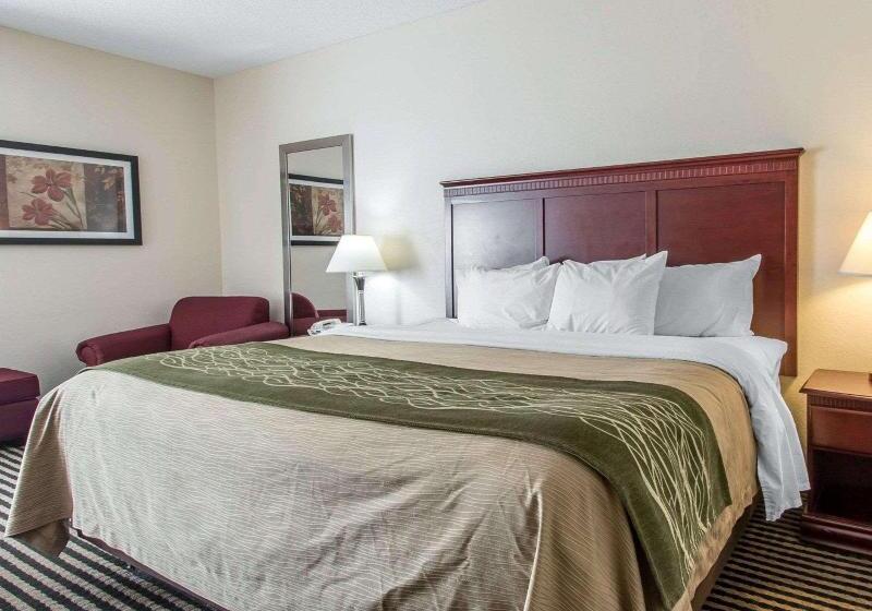 스탠다드 룸 킹사이즈 침대, Comfort Inn Birmingham  Irondale