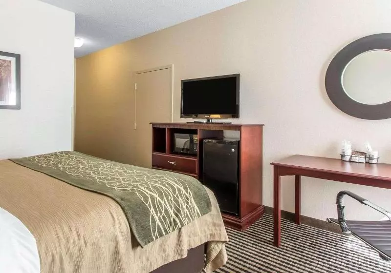 اتاق استاندارد با تخت بزرگ, Comfort Inn Birmingham  Irondale