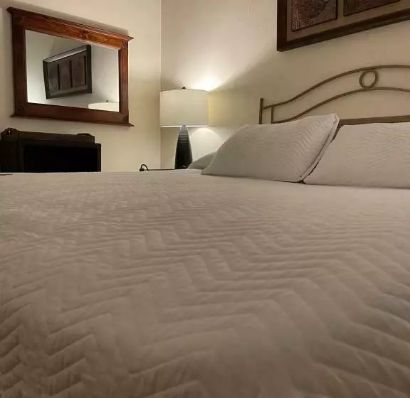 اتاق استاندارد با تخت بزرگ, Boutique Hotel Belgica