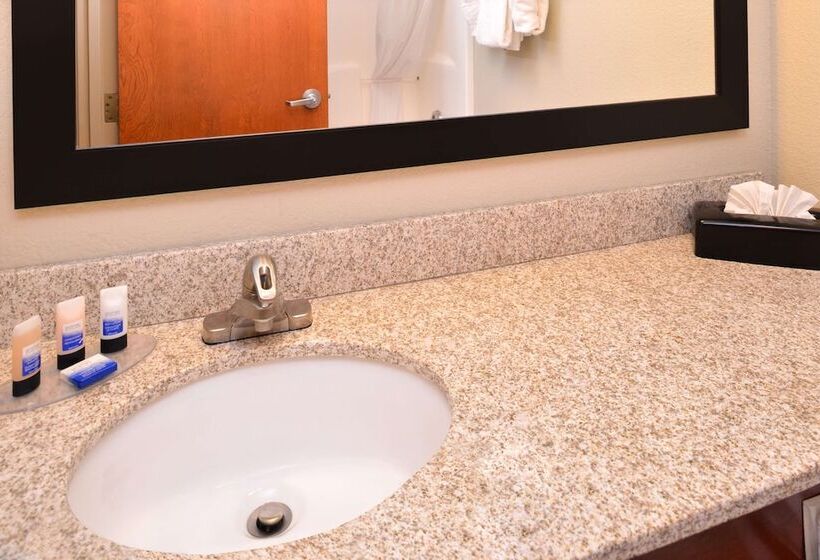 Номер Стандарт 2 Двуспальные Кровати, Best Western Executive Inn & Suites