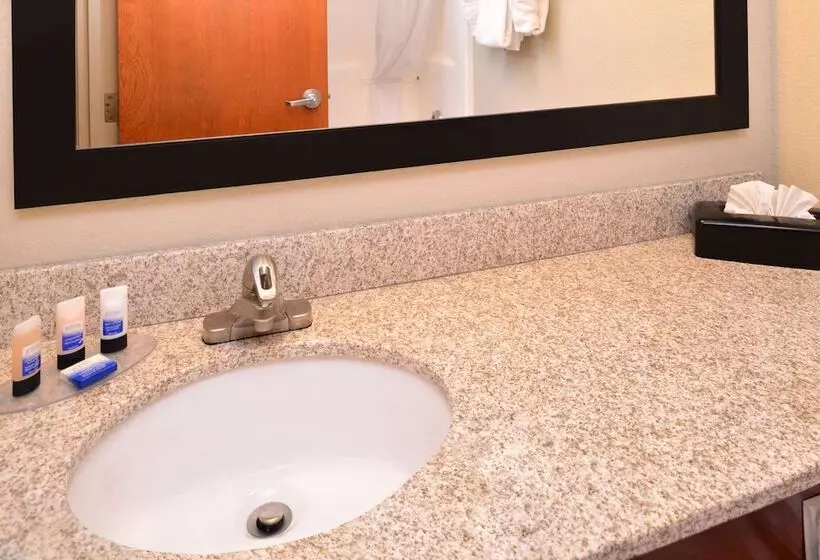 اتاق استاندارد با 2 تخت دوبل, Best Western Executive Inn & Suites