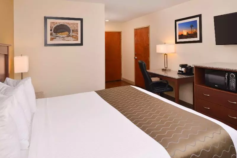 اتاق استاندارد با تخت بزرگ, Best Western Executive Inn & Suites