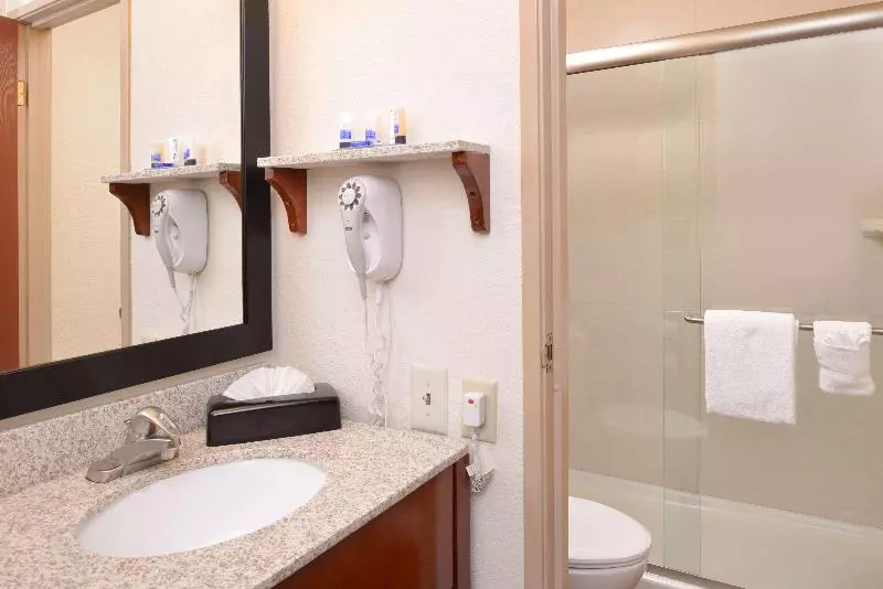 اتاق استاندارد با تخت بزرگ, Best Western Executive Inn & Suites