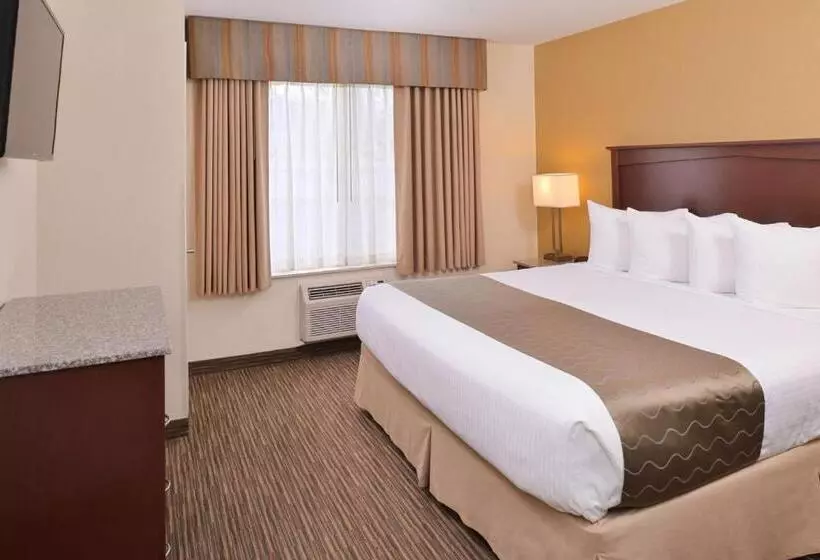 سوئیت با تخت بزرگ, Best Western Executive Inn & Suites
