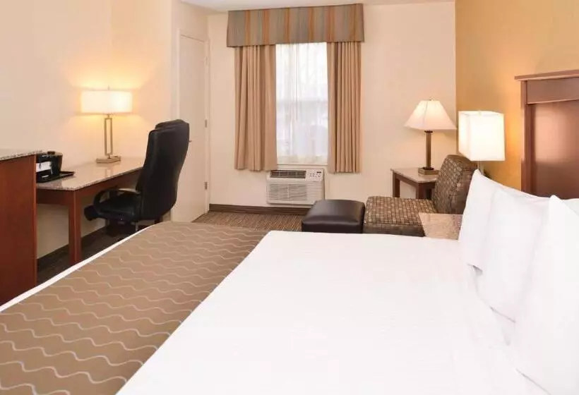 اتاق استاندارد با تخت بزرگ برای معلولان, Best Western Executive Inn & Suites