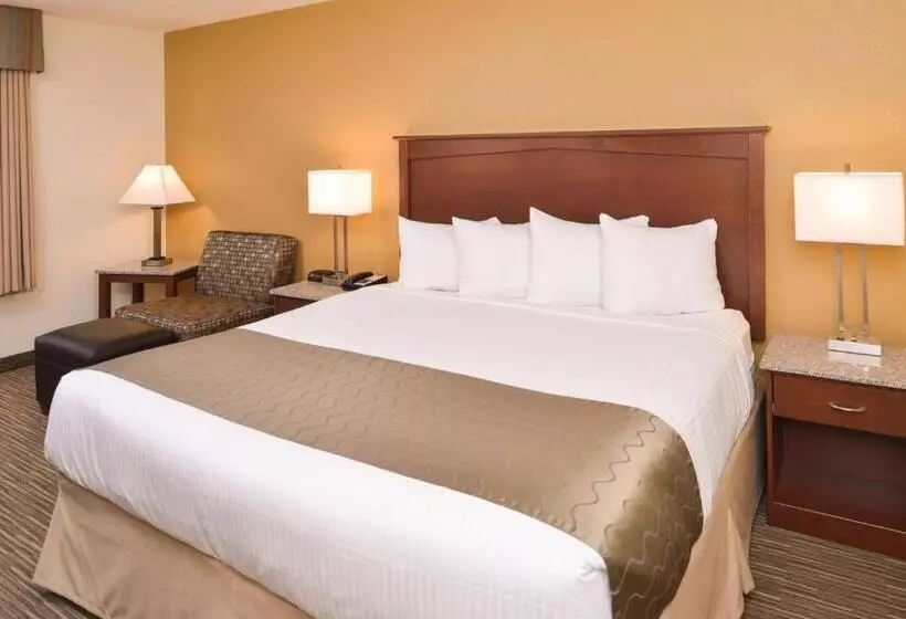 اتاق استاندارد با تخت بزرگ برای معلولان, Best Western Executive Inn & Suites